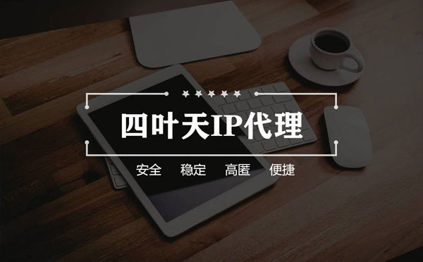 【岳阳代理IP】如何快速搭建代理IP？怎么检查代理的效果？